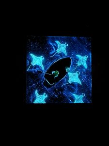 2024_01_Sea exploration n°6_nuit